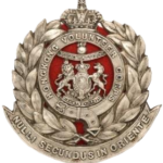 Volunteer Defence Force