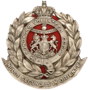 Volunteer Defence Force